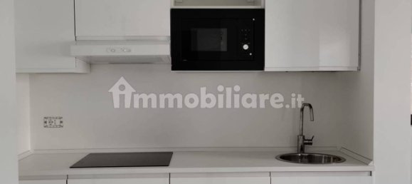 1 chambre Appartement à San Giuliano Milanese, Italy No. 313889 2