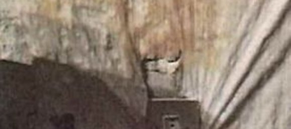 Casa de 2 divisões em Casalbuttano ed Uniti, Italy N.º 95667 9