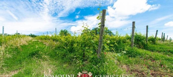 10 bedrooms House in Fratta Todina, Italy No. 129164 40