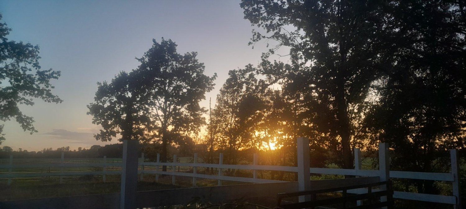 Quinta T6 em Osnabruck, Germany N.º 338101