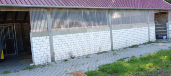 Quinta T6 em Osnabruck, Germany N.º 338101 4