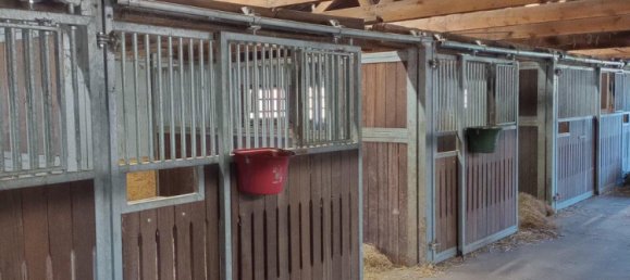 Quinta T6 em Osnabruck, Germany N.º 338101 2