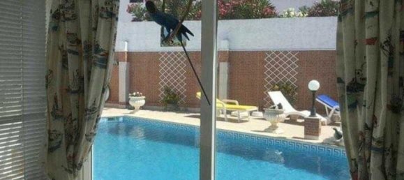 9 bedrooms House in Vila do Bispo, Portugal No. 186713 15