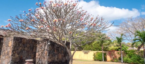 4 bedrooms Villa in Tamarin, Mauritius No. 34 21
