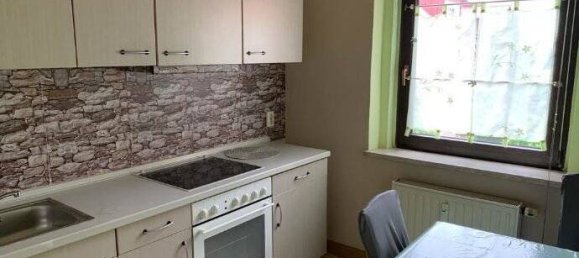 Коммерческая недвижимость с 6 спальнями в Фогтланд, Германия № 58260 8