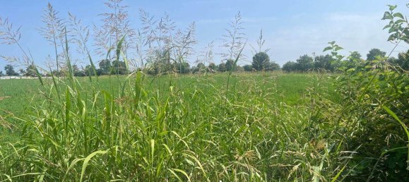 5 rooms House in Curtarolo, Italy No. 111790 7