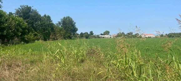 5 rooms House in Curtarolo, Italy No. 111790 5