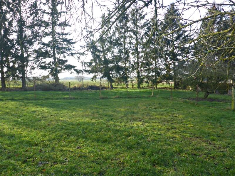 5-Zimmer Grundstück in Rostock, Germany, Nr. 56629