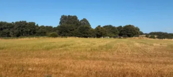 6 bedrooms House in Pontevedra, Spain No. 182667 7