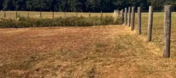 6 bedrooms House in Pontevedra, Spain No. 182667 2