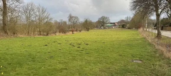 Дом с 4 спальнями в Дитмаршен, Германия № 39136 2