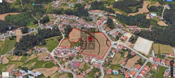44780m² Land in Santa Maria da Feira, Portugal No. 80161 3