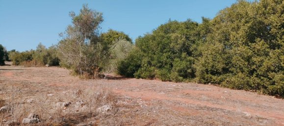 قطعة أرض في Neviano, Italy رقم 331657 24