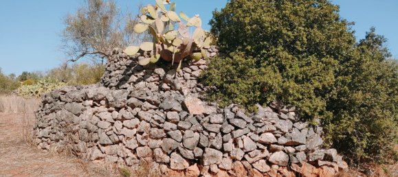 قطعة أرض في Neviano, Italy رقم 331657 9