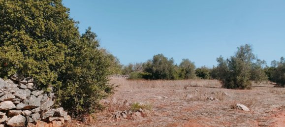 قطعة أرض في Neviano, Italy رقم 331657 15