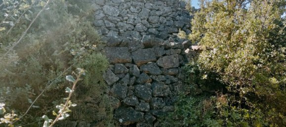 قطعة أرض في Neviano, Italy رقم 331657 37