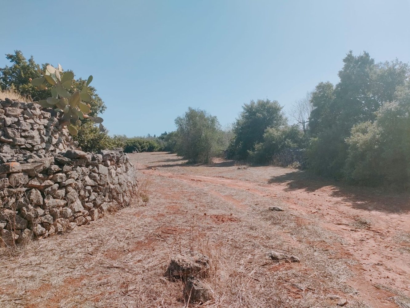  قطعة أرض في Neviano, Italy رقم 331657