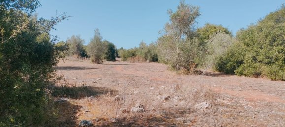 قطعة أرض في Neviano, Italy رقم 331657 31