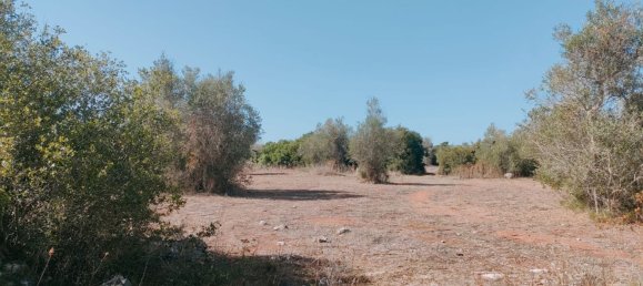 قطعة أرض في Neviano, Italy رقم 331657 20