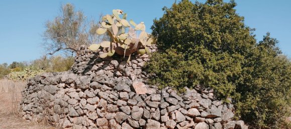 قطعة أرض في Neviano, Italy رقم 331657 5