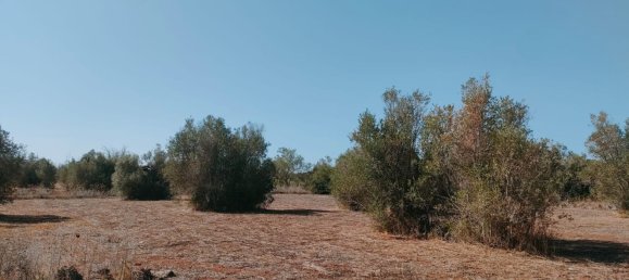 قطعة أرض في Neviano, Italy رقم 331657 35