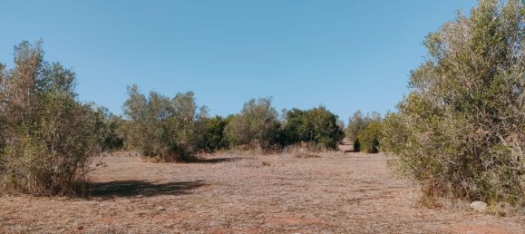 قطعة أرض في Neviano, Italy رقم 331657 18