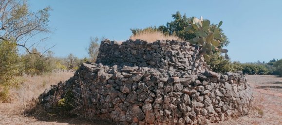 قطعة أرض في Neviano, Italy رقم 331657 2