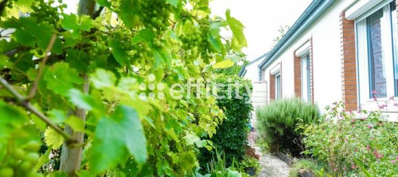 5 Schlafzimmer Haus in Saint-Jean-de-la-Ruelle, France, Nr. 282586 2