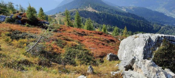  Land in Bad Kleinkirchheim, Austria No. 33570 2