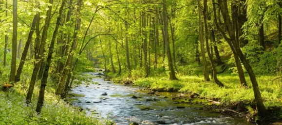 3 غرف نوم شقة في Bayreuth, Germany رقم 194124 15