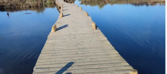 1137m² Land in Peyriac-de-Mer, France No. 96650 4