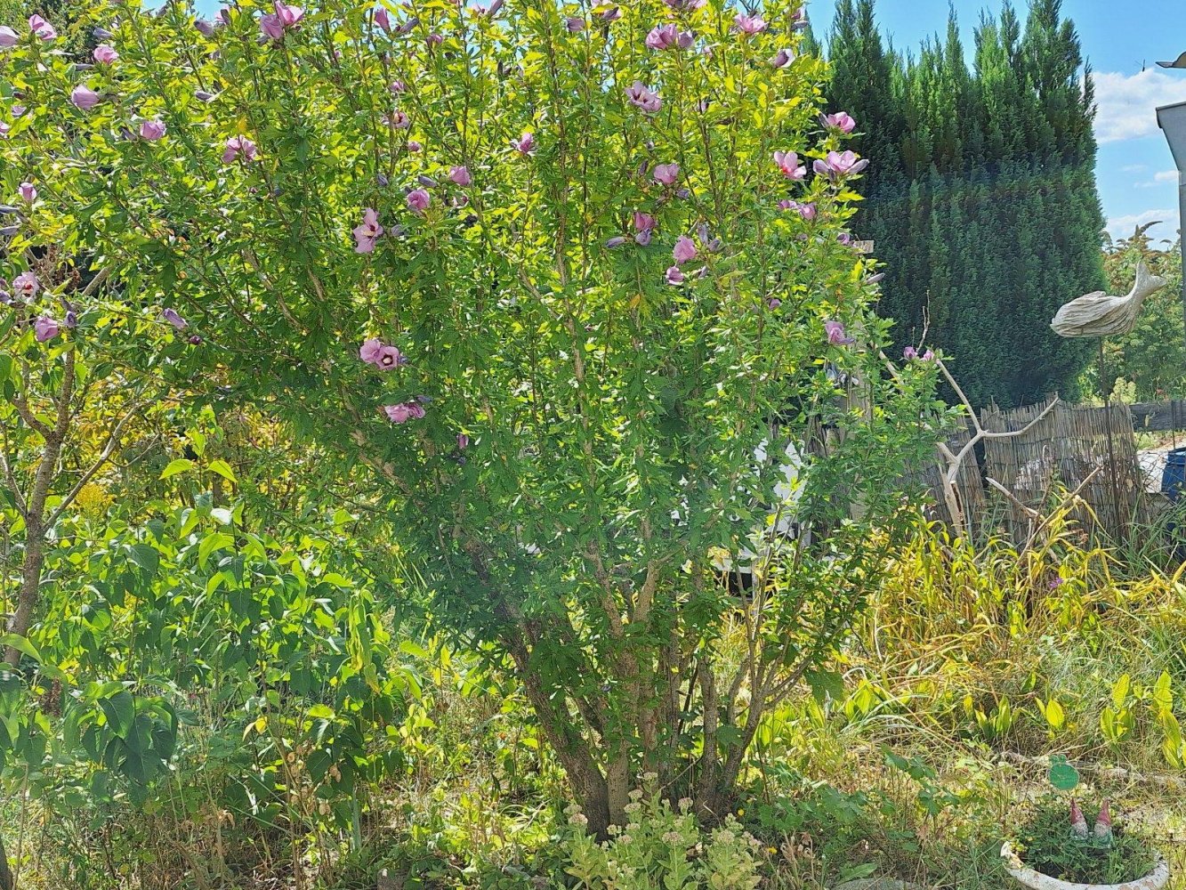  قطعة أرض في Vorpommern-Rugen, Germany رقم 272590
