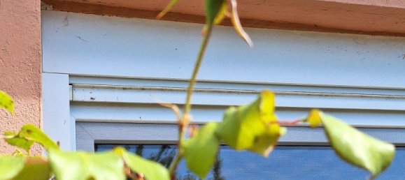  قطعة أرض في Vorpommern-Rugen, Germany رقم 272590 2