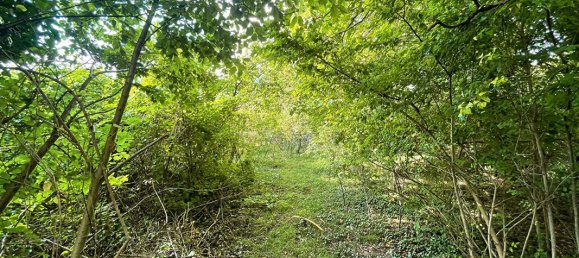 1 غرف نوم منزل في Venizy, France رقم 195755 20