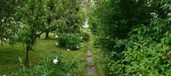 3 rooms Land in Ottakring, Austria No. 217263 9