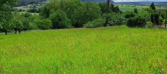 قطعة أرض في Enzkreis, Germany رقم 39997 4