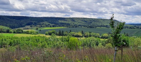 قطعة أرض في Enzkreis, Germany رقم 39997 7