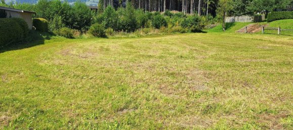 Земельный участок 999м² в Зальфельден ам Штайнернен Мер, Австрия № 225807 4