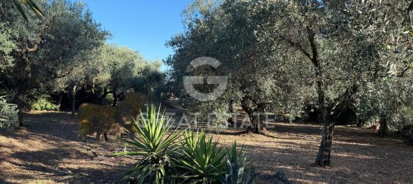 11 bedrooms Villa in Rome, Italy No. 316692 5