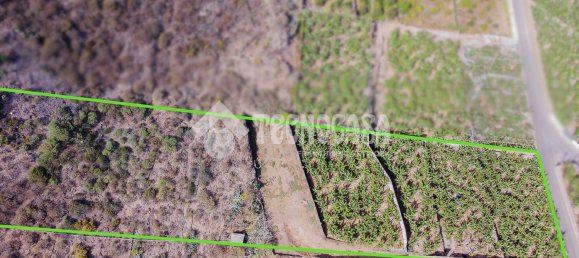  Land in Buenavista del Norte, Spain No. 150911 14