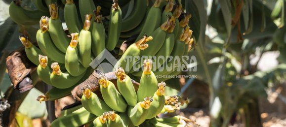  Land in Buenavista del Norte, Spain No. 150911 24