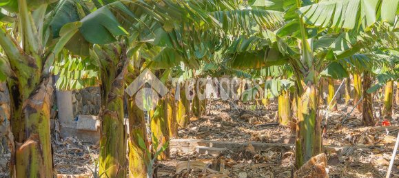  Land in Buenavista del Norte, Spain No. 150911 16