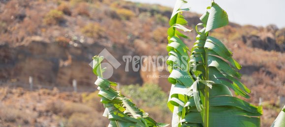  Land in Buenavista del Norte, Spain No. 150911 25