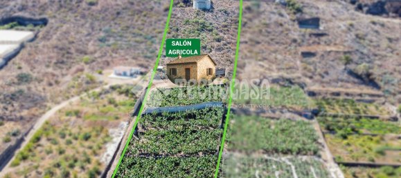  Land in Buenavista del Norte, Spain No. 150911 8