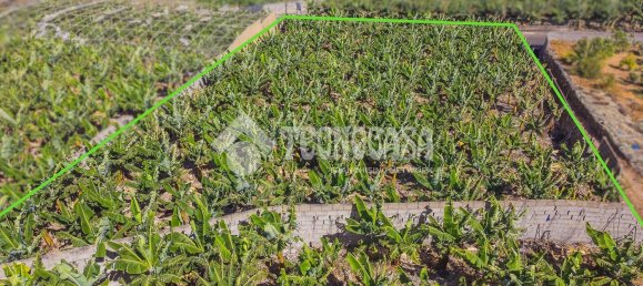  Land in Buenavista del Norte, Spain No. 150911 3