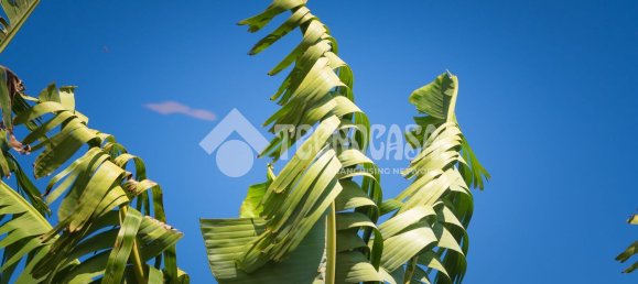  Land in Buenavista del Norte, Spain No. 150911 26