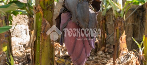  Land in Buenavista del Norte, Spain No. 150911 20