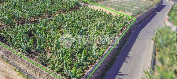  Land in Buenavista del Norte, Spain No. 150911 6