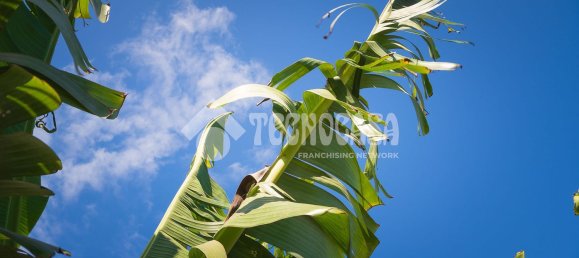  Land in Buenavista del Norte, Spain No. 150911 28