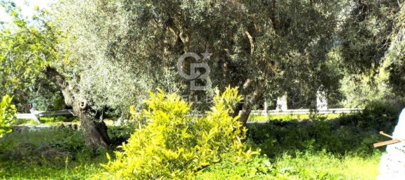 2 chambres Maison à Modica, Italy No. 84209 48